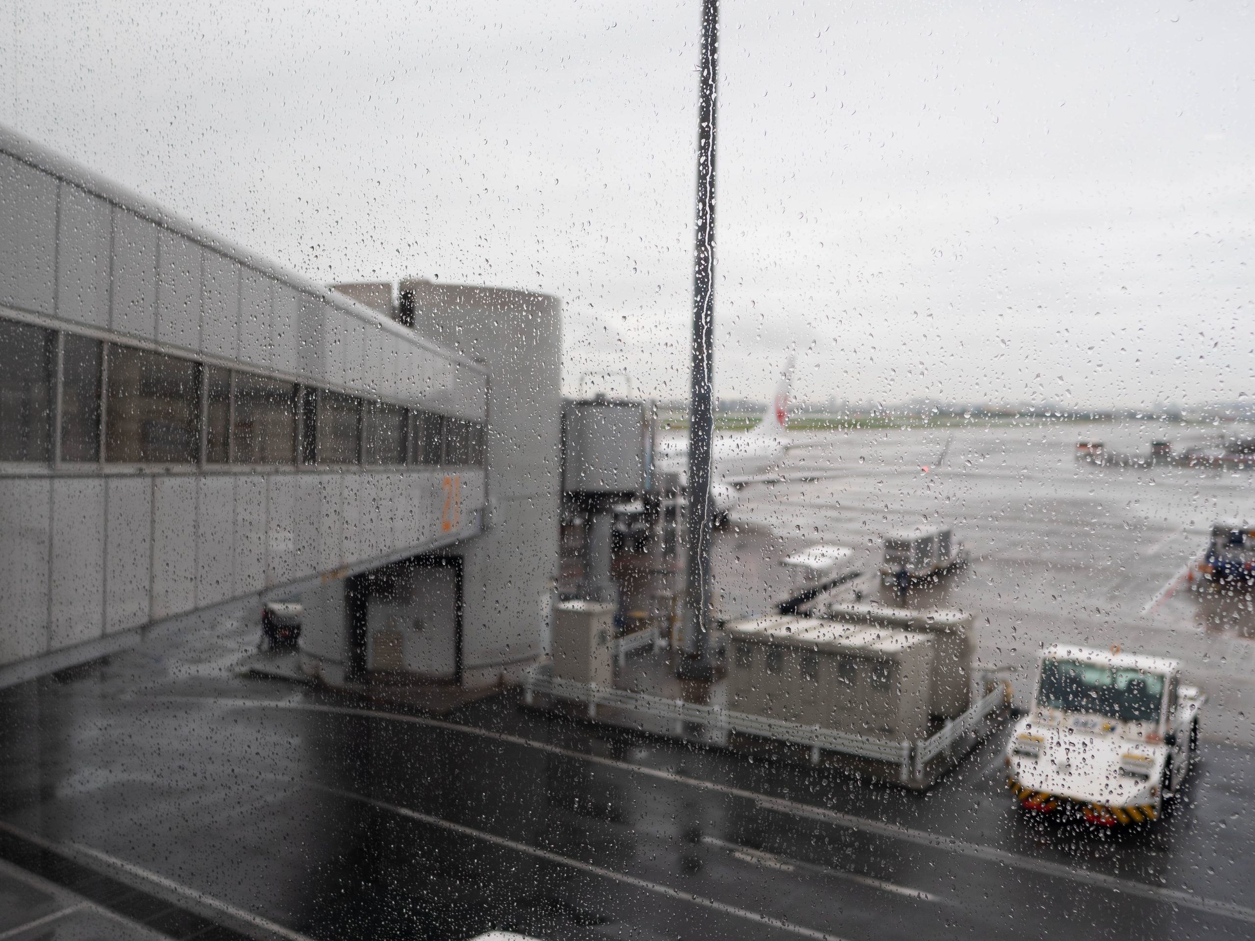 羽田空港　 250611 (1 - 1)